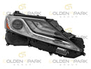 2018-2019 Toyota Camry XLE/XSE Headlight Lamp RH (Passenger Side) - Golden Spark Group