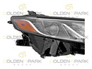 2021 Toyota Camry Headlight Lamp (Chrome Accent) RH (Passenger Side) - Golden Spark Group