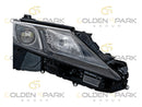 2020-2021 Toyota Camry Headlight Lamp (Black Accent) RH (Passenger Side) - Golden Spark Group