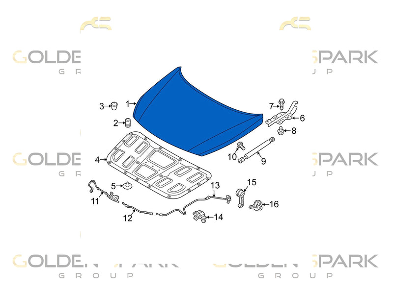 2018-2019 Hyundai Sonata Hood Assembly - Golden Spark Group